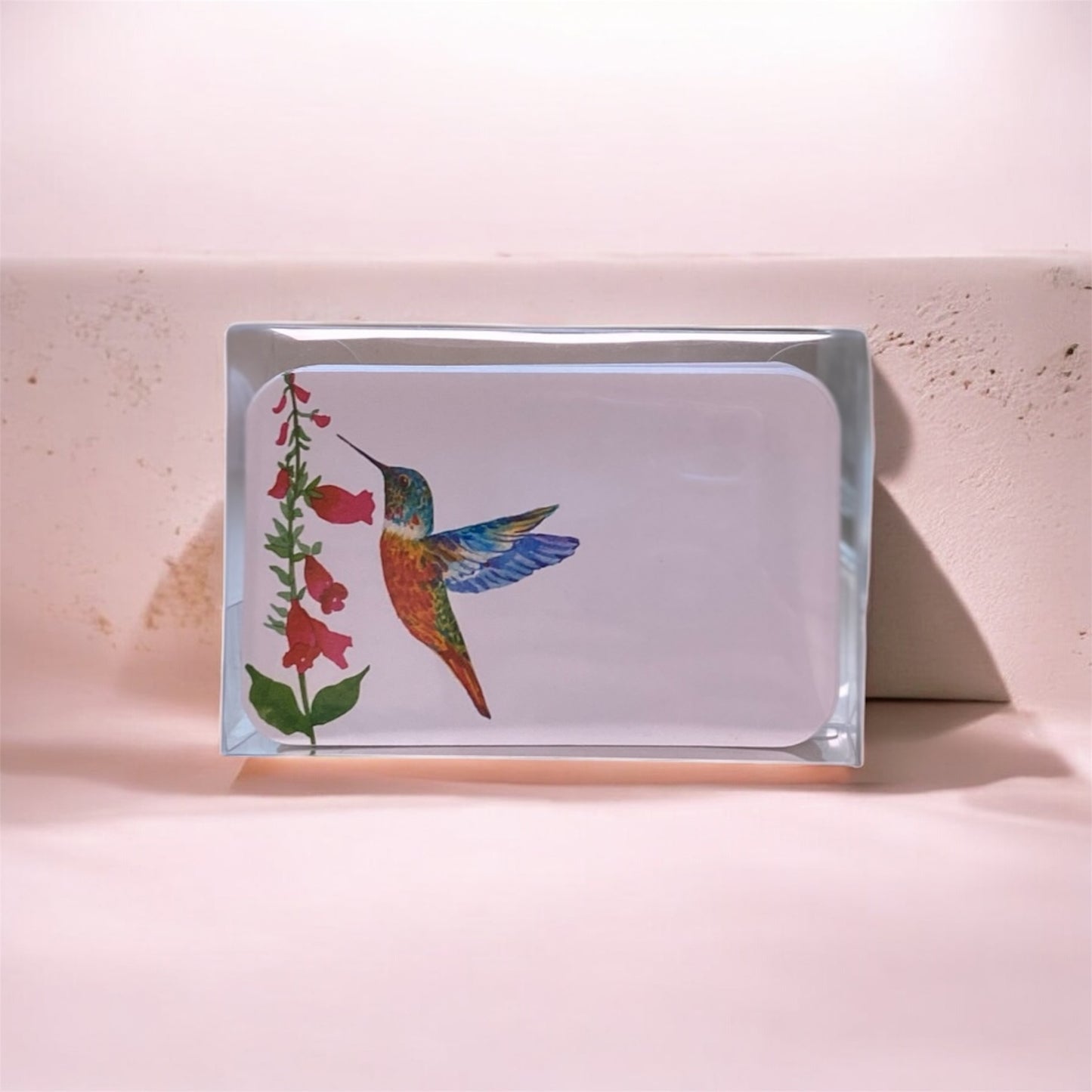 Hummingbird Lunchbox Notes 40ct