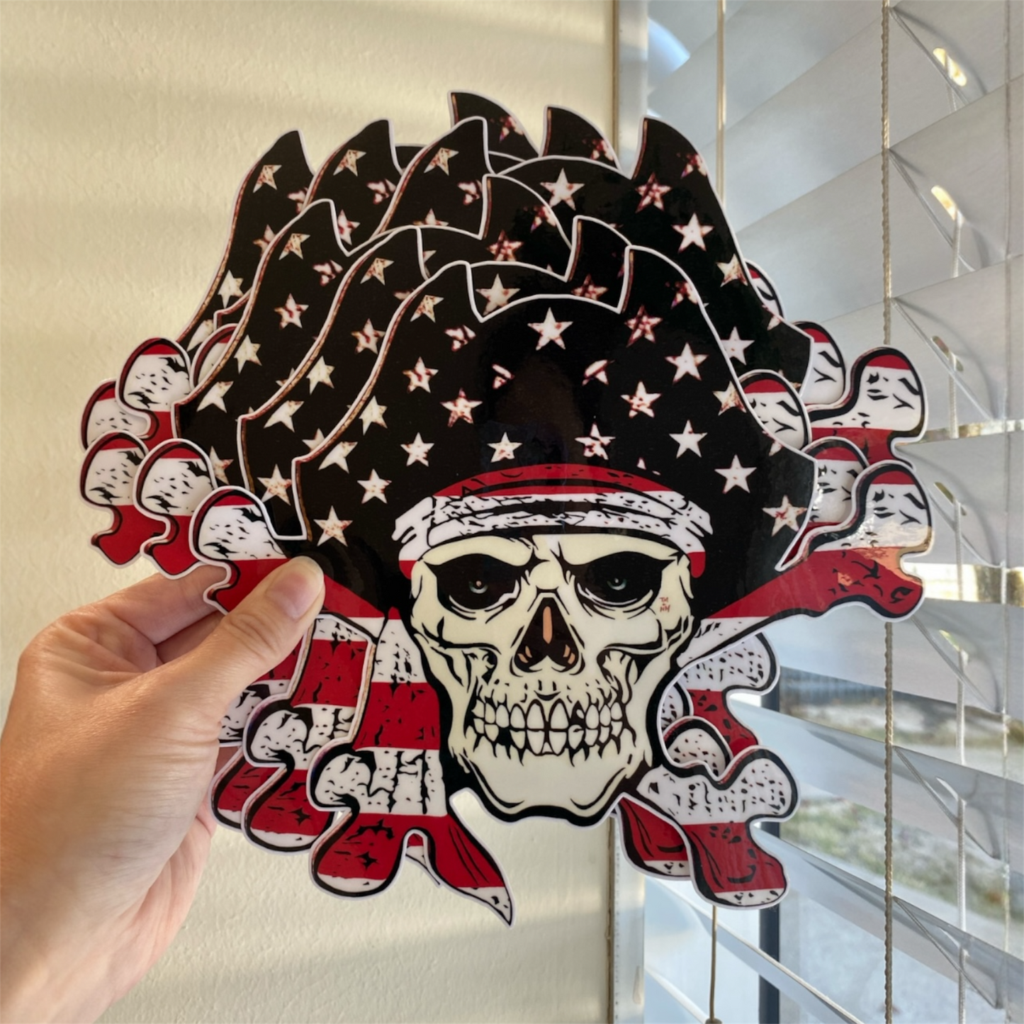 USA Skull and Crossbones