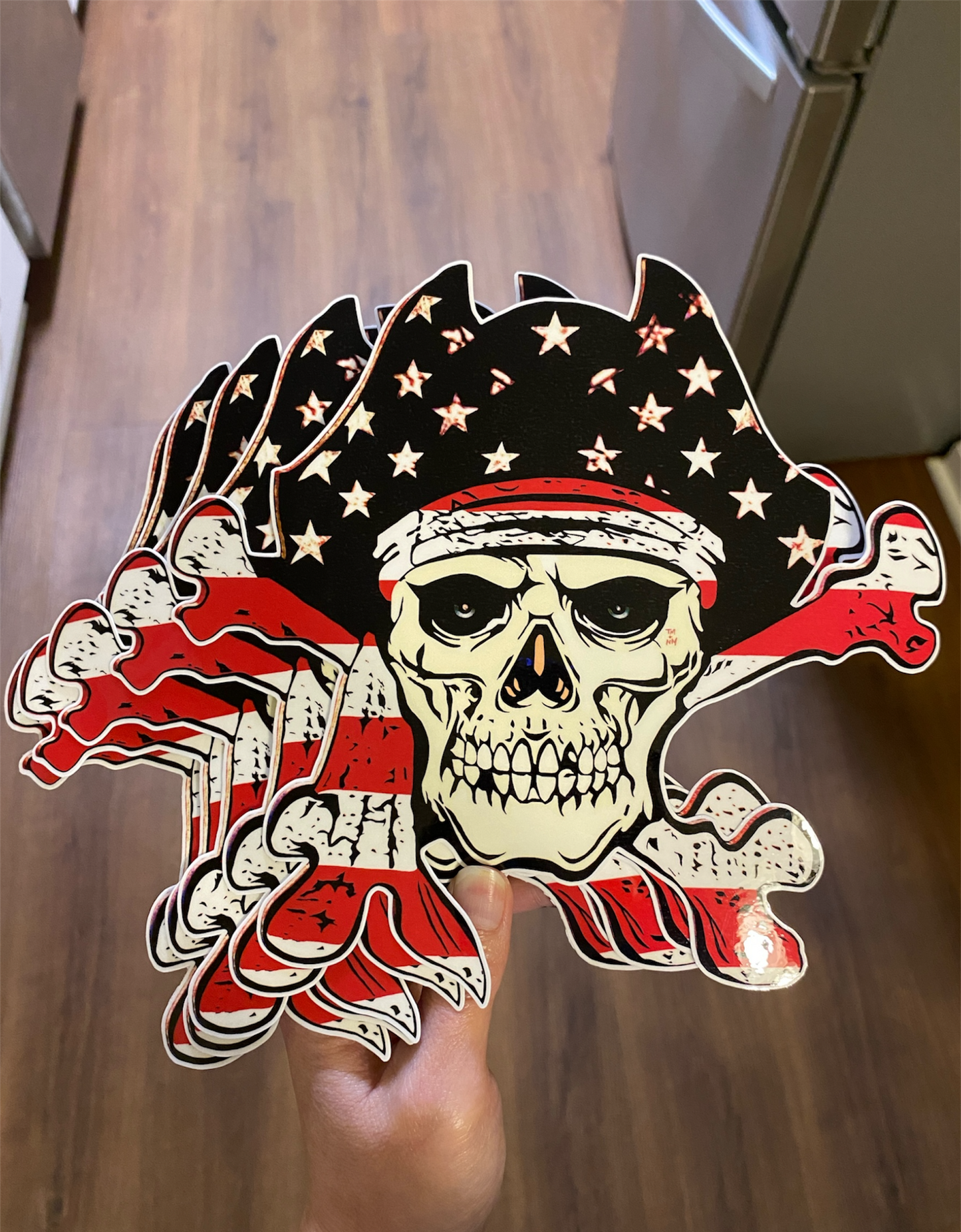 USA Skull and Crossbones